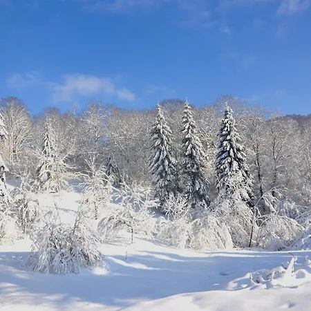 Chalet, De Groupe - Atc Routes Du Monde A - 32 Couchages *