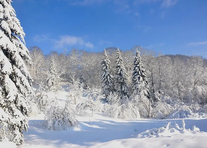 Chalet, De Groupe - Atc Routes Du Monde à - 32 Couchages *
