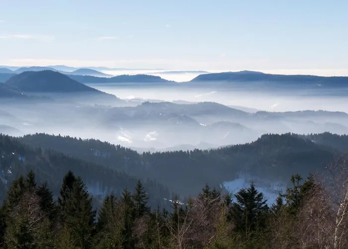 Chalet Chalet, De Groupe - Atc Routes Du Monde à - 32 Couchages Bussang